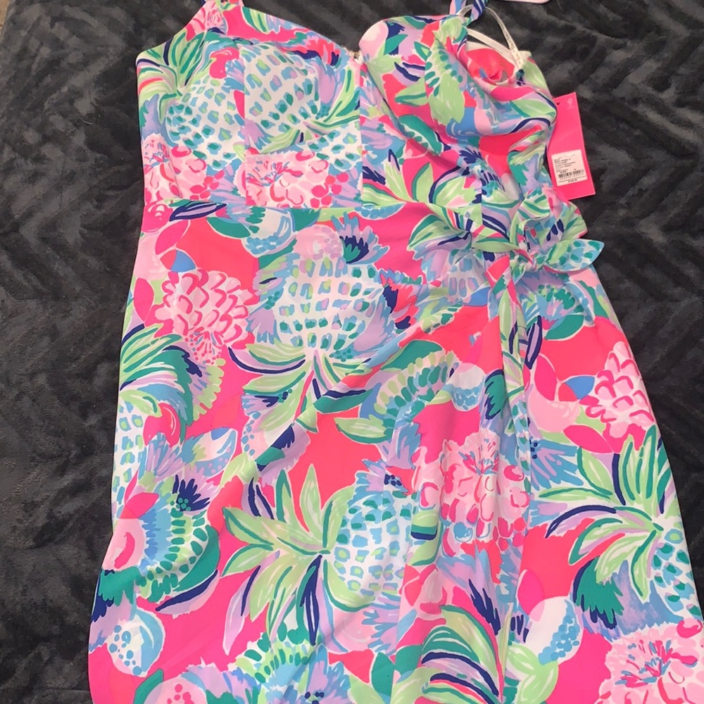 Lilly Pulitzer Scarlet Stretch Dress in Multi Raise the bar